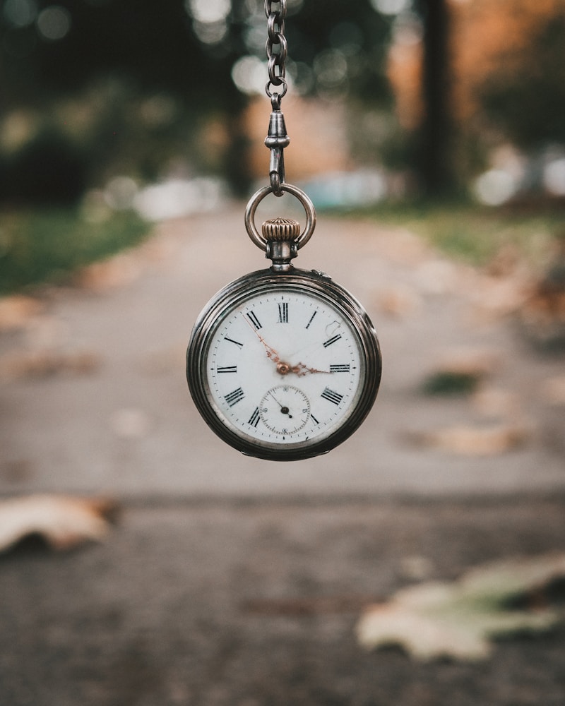 The Art of Haute Horlogerie: A Journey Through Time